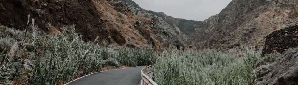 Winding road through rugged mountainous terrain with overgrown vegetation