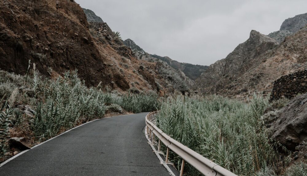 Winding road through rugged mountainous terrain with overgrown vegetation