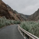 Winding road through rugged mountainous terrain with overgrown vegetation